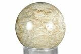 Polished Petrified Palm Wood Sphere - Indonesia #327416-1
